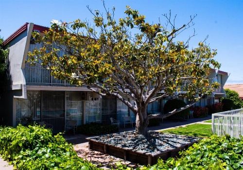 Travelodge by Wyndham Monterey Bay image 26